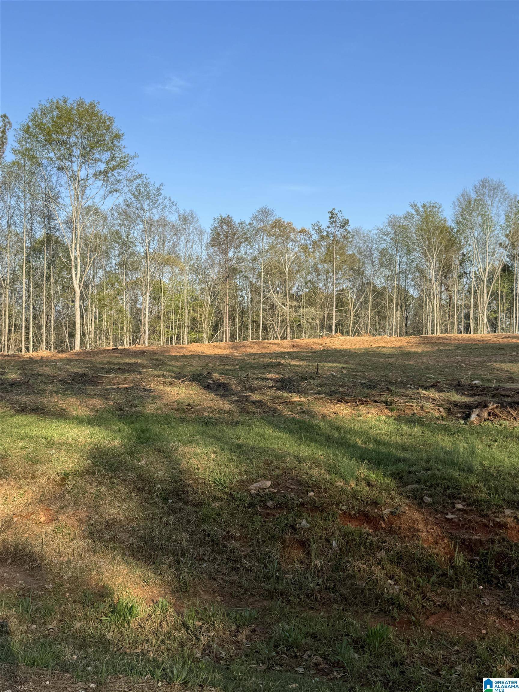 Lineville, AL 36266,13.8+/- Acres PEACE OF MIND DRIVE #2
