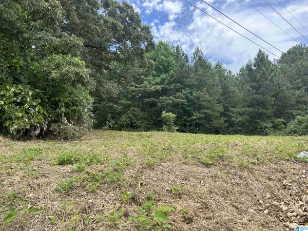 Roanoke, AL 36274,0 HIGHWAY 431 #1