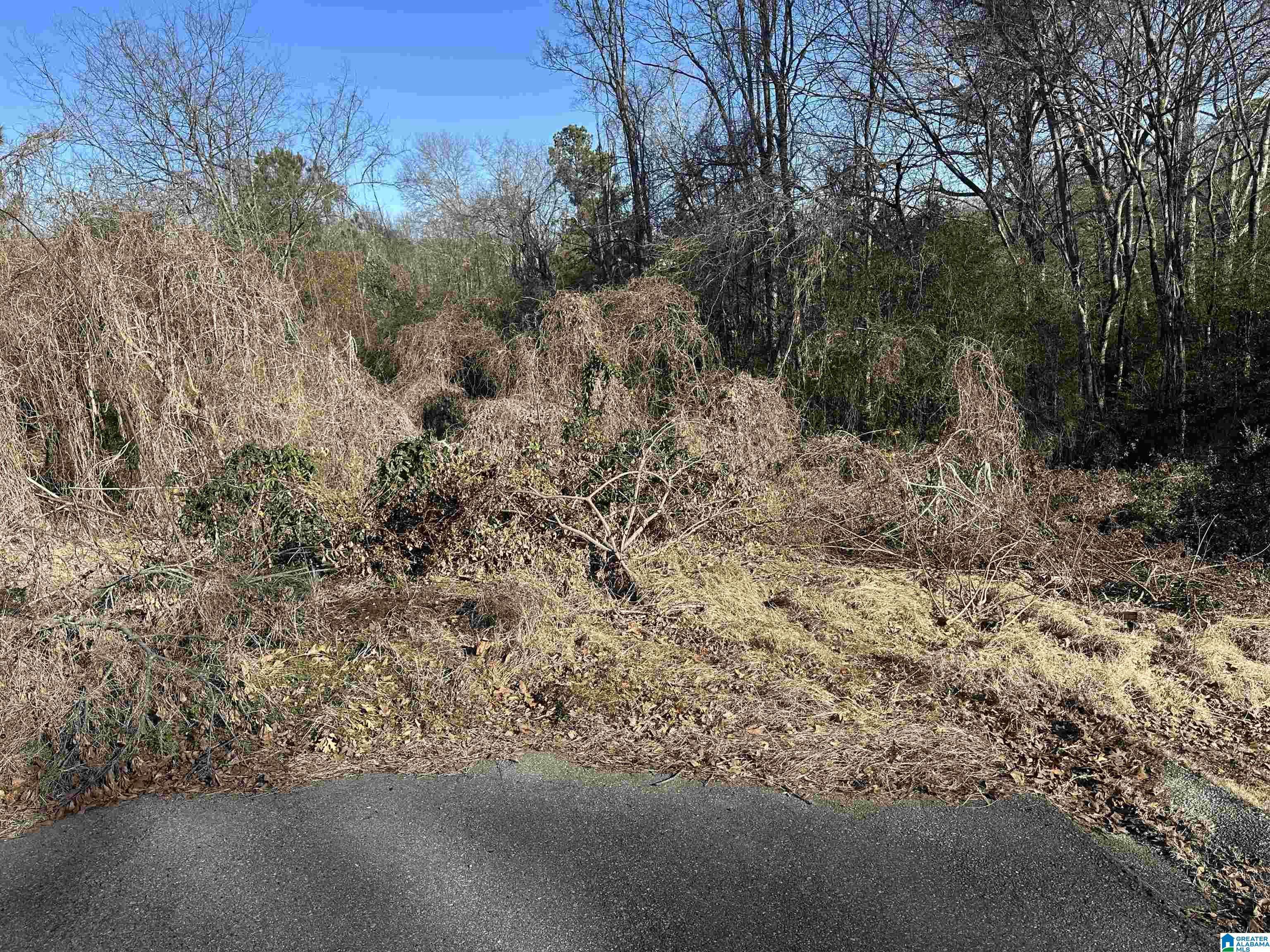 Fultondale, AL 35068,3312 CAROUSEL DRIVE #1