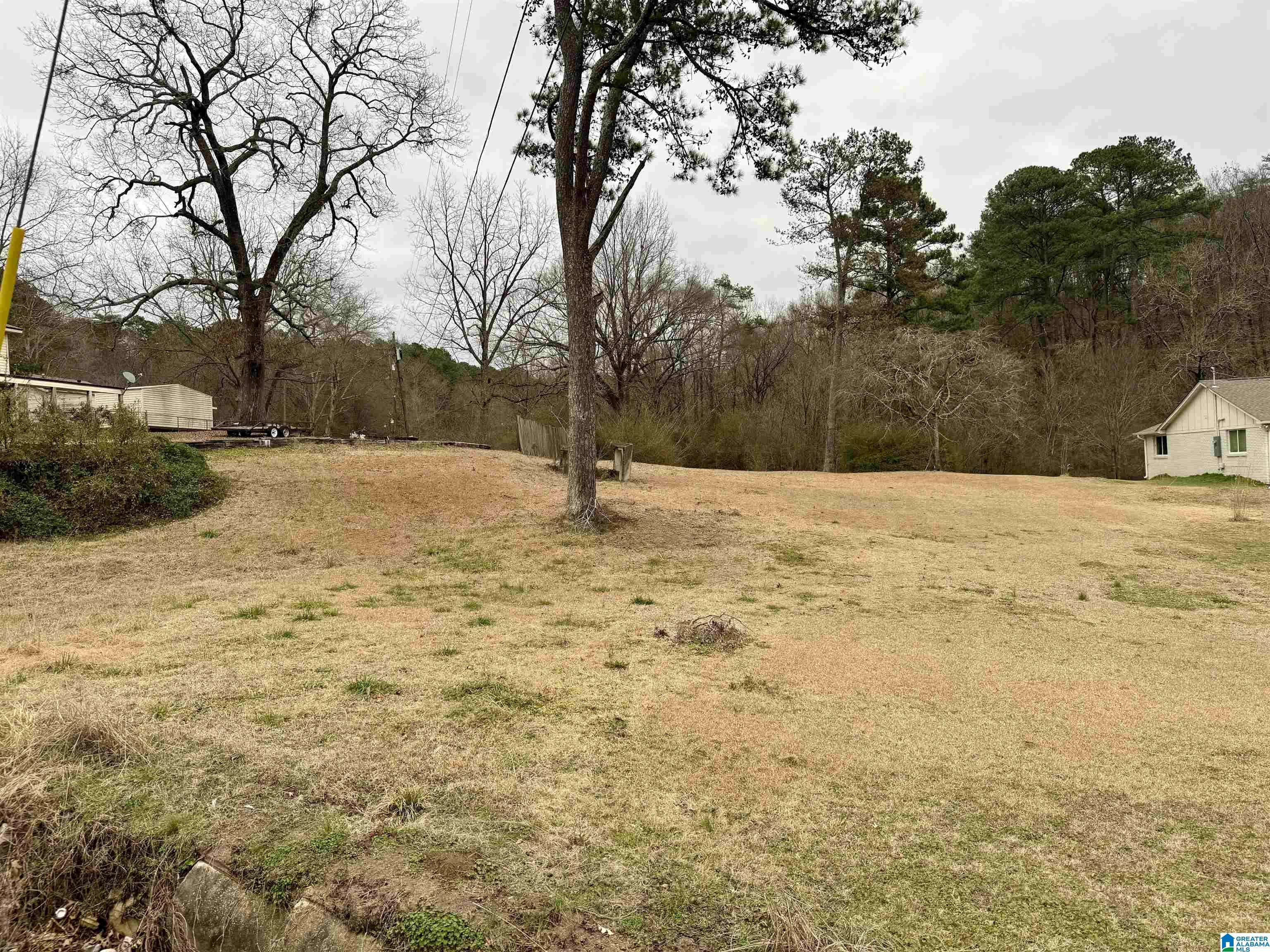 313 BELCHER HILL ROAD #1, Gardendale, AL 35071