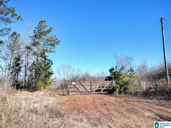 Wedowee, AL 36278,623 COUNTY ROAD 704 #0