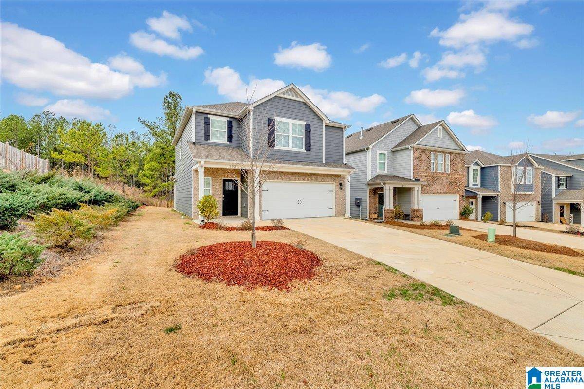 Chelsea, AL 35043,282 CHELSEA PARK ROAD