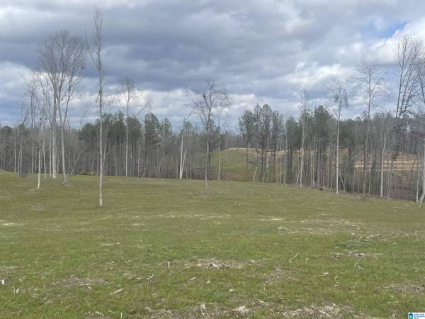 0001 TRUMAN ALDRICH PARKWAY #20, West Blocton, AL 35184