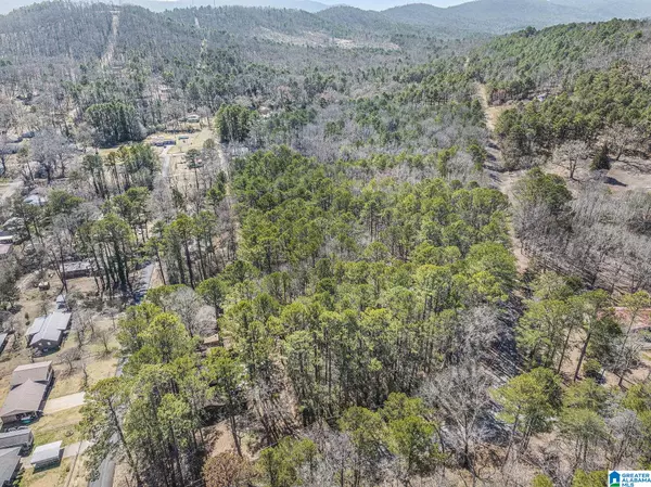 0 OAK RIDGE LANE #0, Piedmont, AL 36272