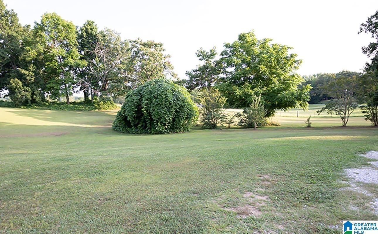 Ashland, AL 36251,1219 OWENS ROAD