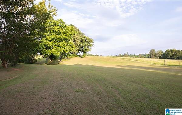 1219 OWENS ROAD, Ashland, AL 36251