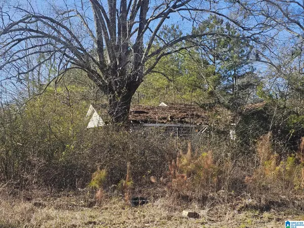 Boaz, AL 35956,0 ROCKLEDGE ROAD #0