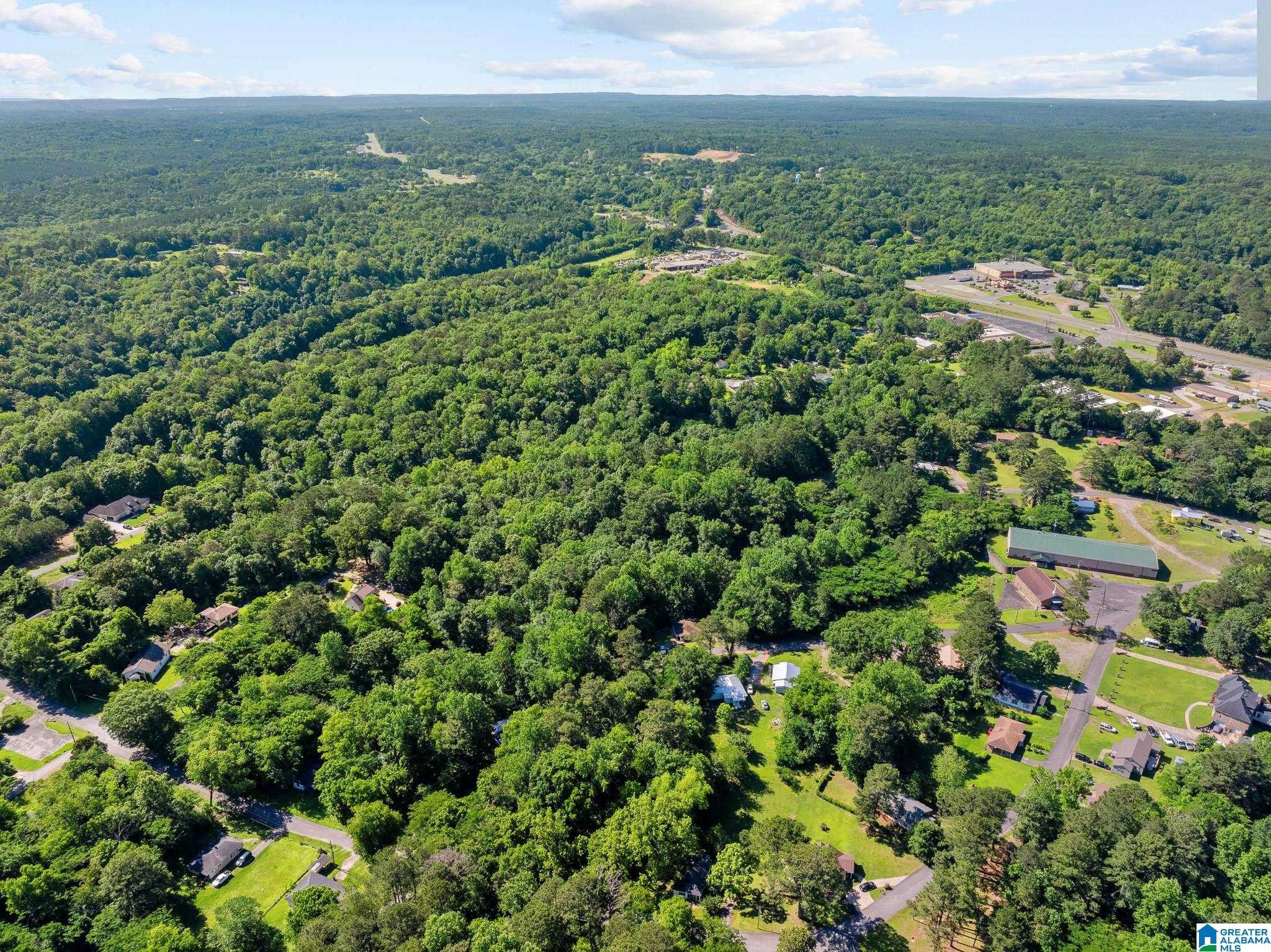Graysville, AL 35073,399 SE 12TH AVENUE #0