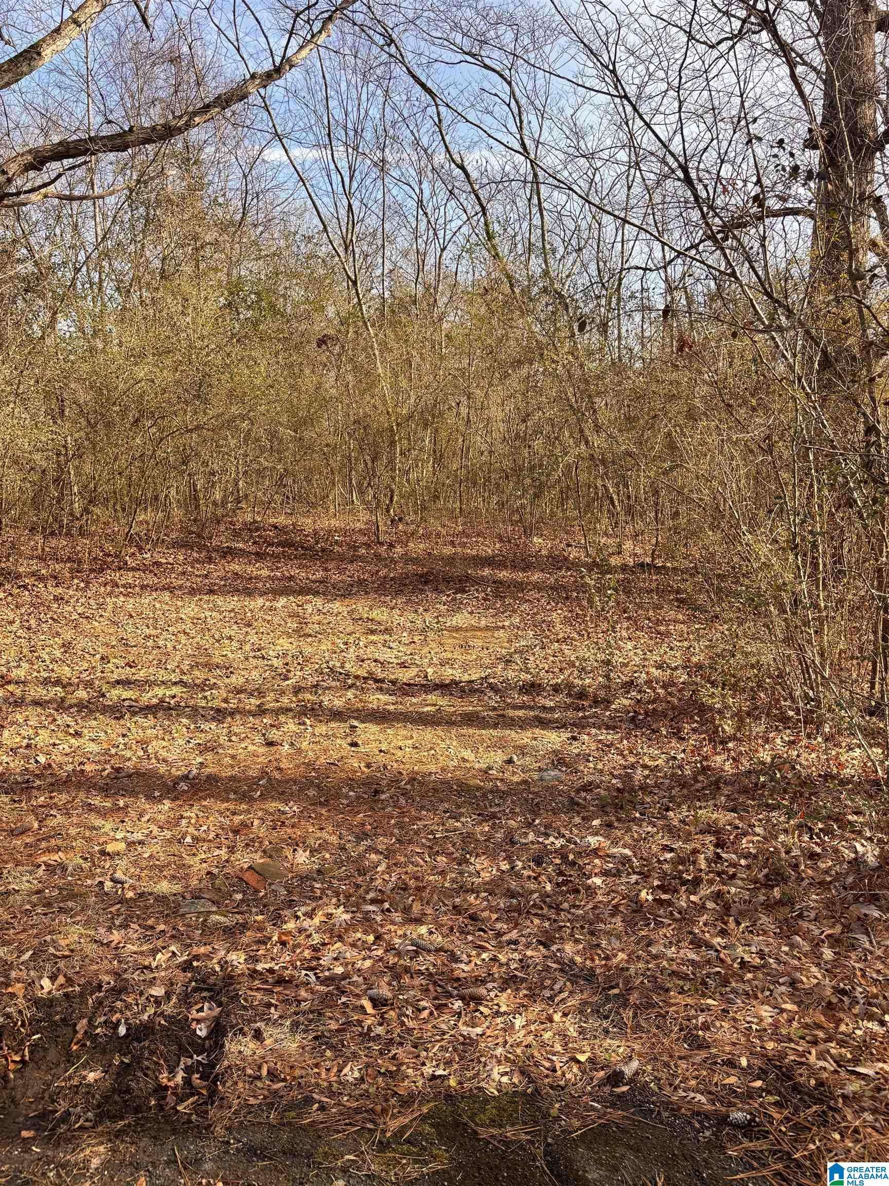 399 SE 12TH AVENUE #0, Graysville, AL 35073