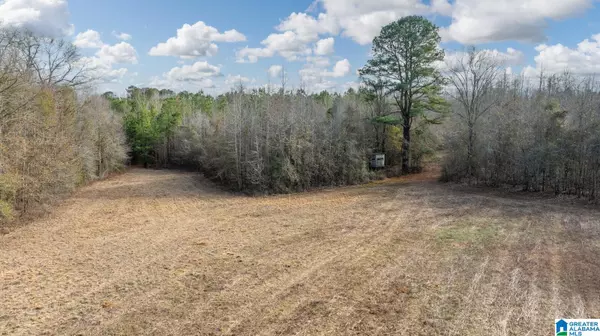00 BRUSH CREEK DRIVE, Akron, AL 35441