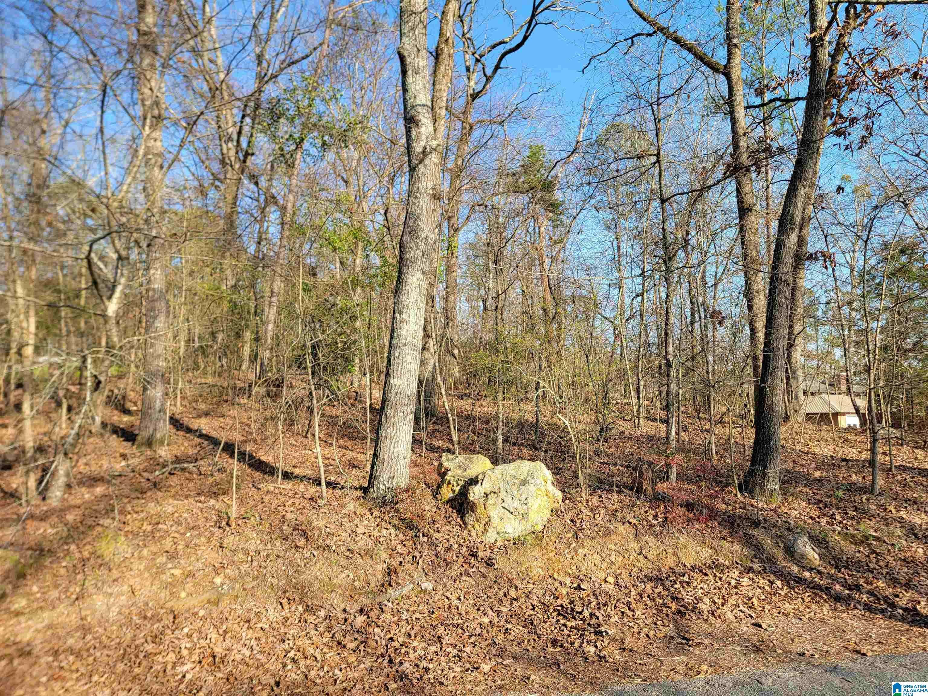 Cropwell, AL 35054,0 CLEARWATER POINT ROAD #5