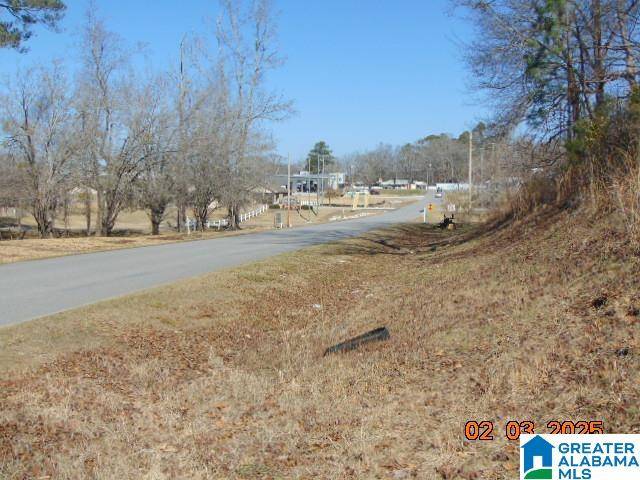 Clanton, AL 35045,1617 7TH STREET S