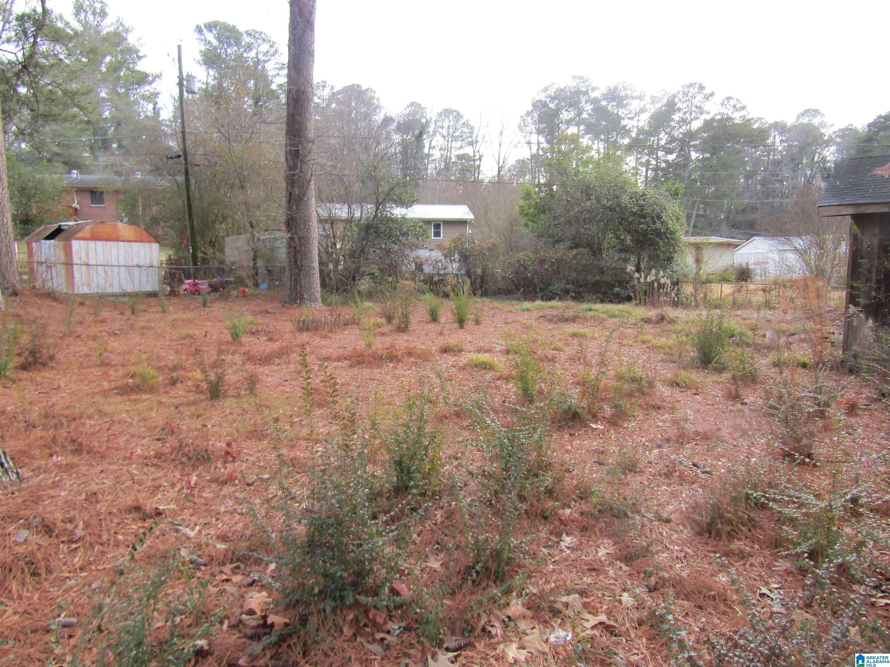 Birmingham, AL 35215,9824 RED MILL ROAD #0