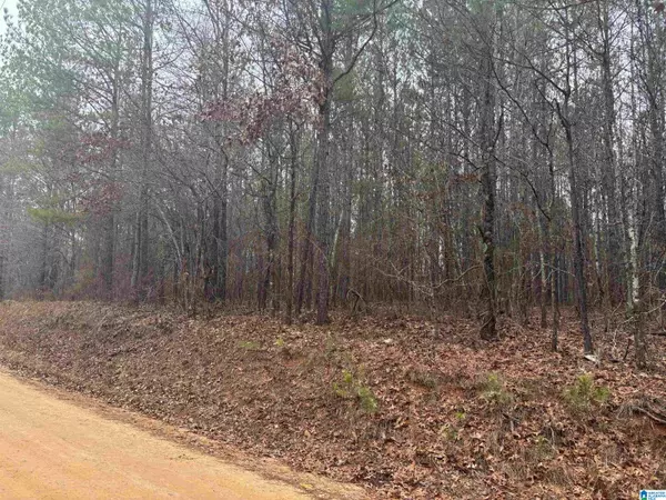 Wadley, AL 36276,COUNTY ROAD 823 #Lot 6