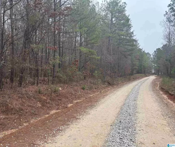 Wadley, AL 36276,COUNTY ROAD 823 #Lot 8