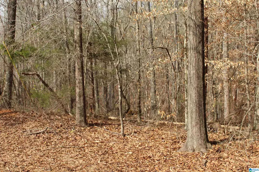 0 POPLAR PLACE #3, Wedowee, AL 36278