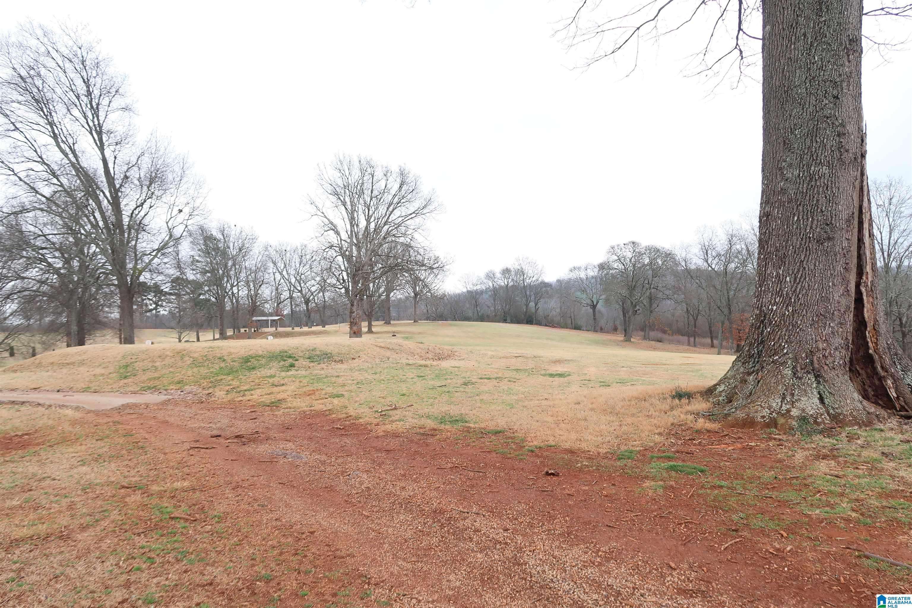 Anniston, AL 36207,1317 KILBY TERRACE