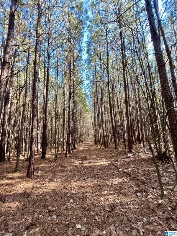 Newell, AL 36280,0 COUNTY ROAD 134 #1