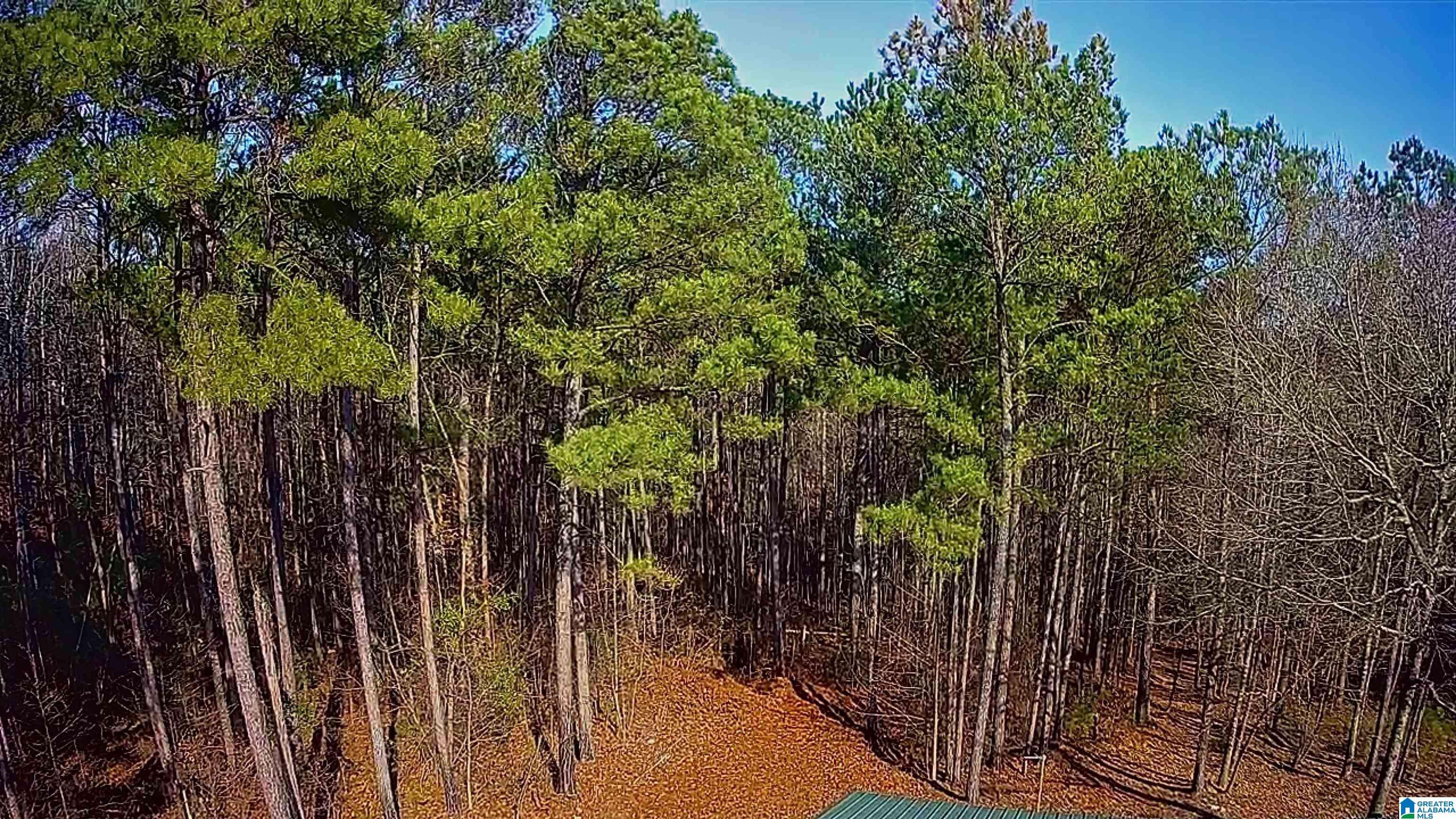 Jacksons Gap, AL 36861,935 PECKERWOOD ROAD