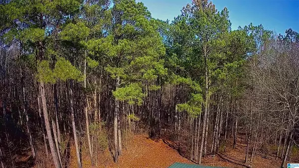 Jacksons Gap, AL 36861,935 PECKERWOOD ROAD