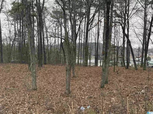 Alpine, AL 35014,1 CENTURAS CIRCLE #2