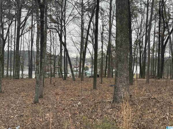 1 CENTURAS CIRCLE #2, Alpine, AL 35014