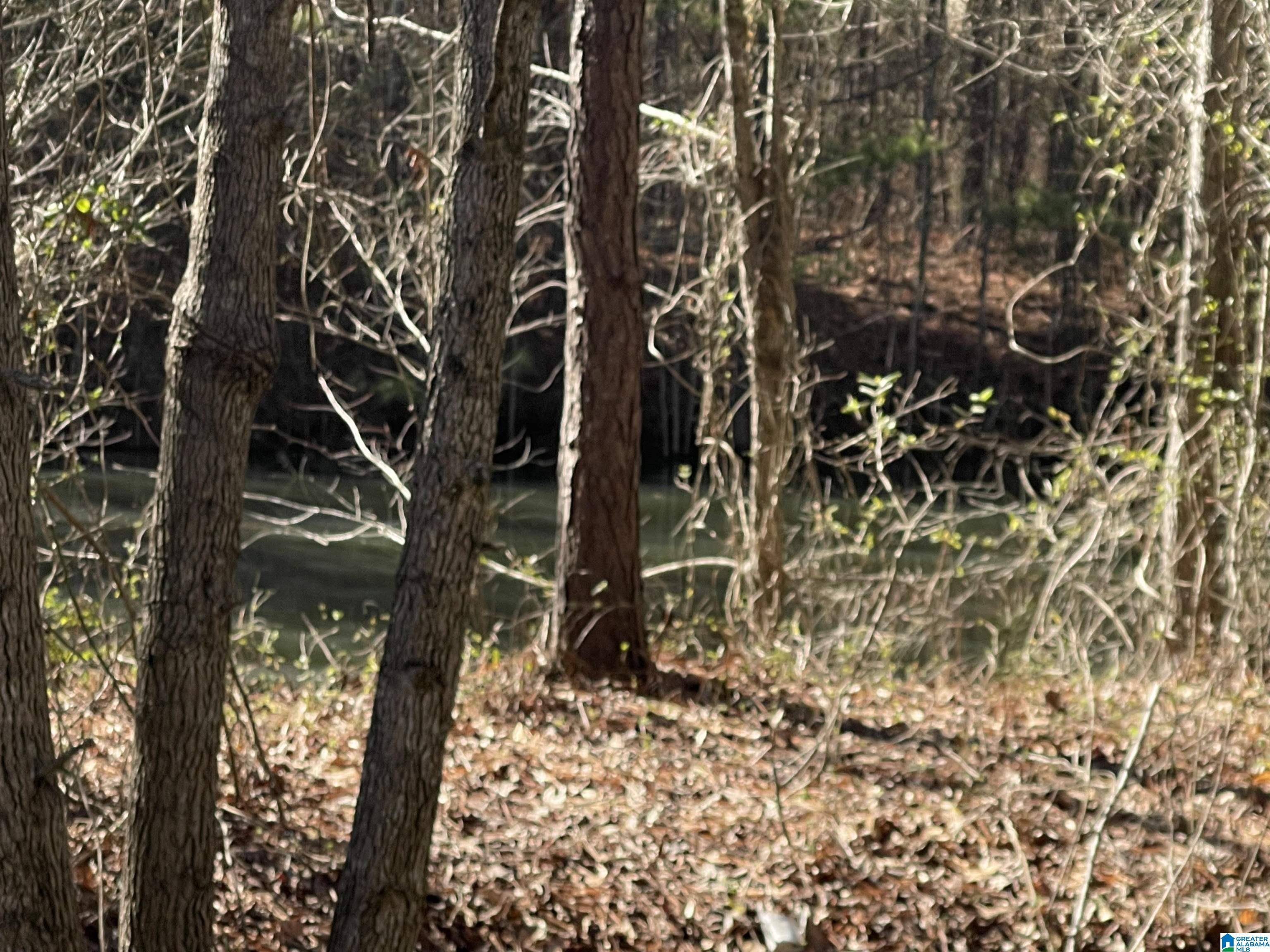 000 WOLF POND ROAD #13 acres, Talladega, AL 35160
