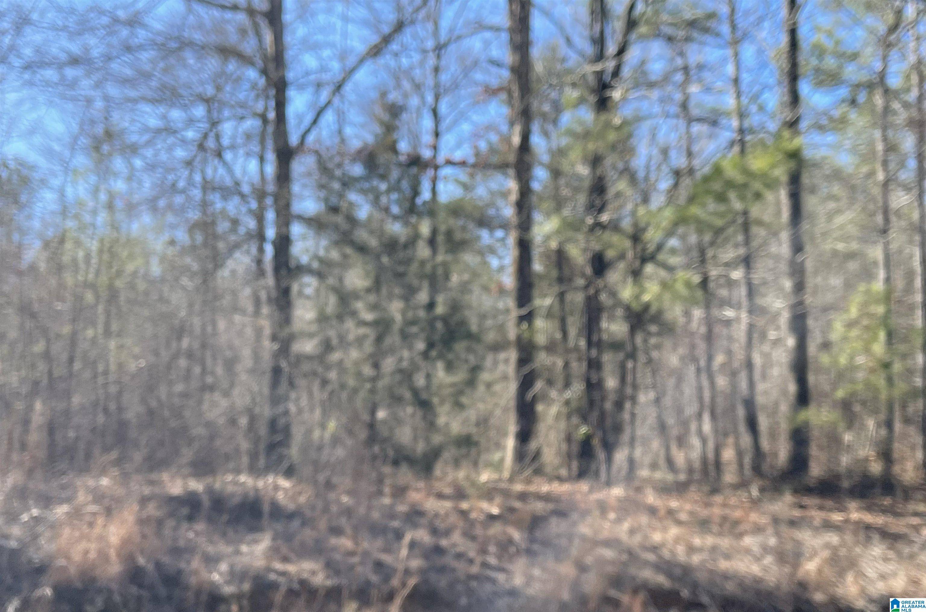 Talladega, AL 35160,000 WOLF POND ROAD #13 acres