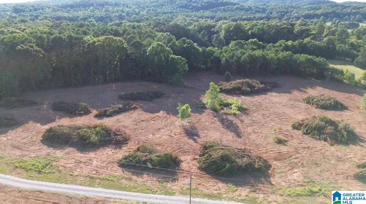 Columbiana, AL 35051,95 WILD TURKEY TRAIL
