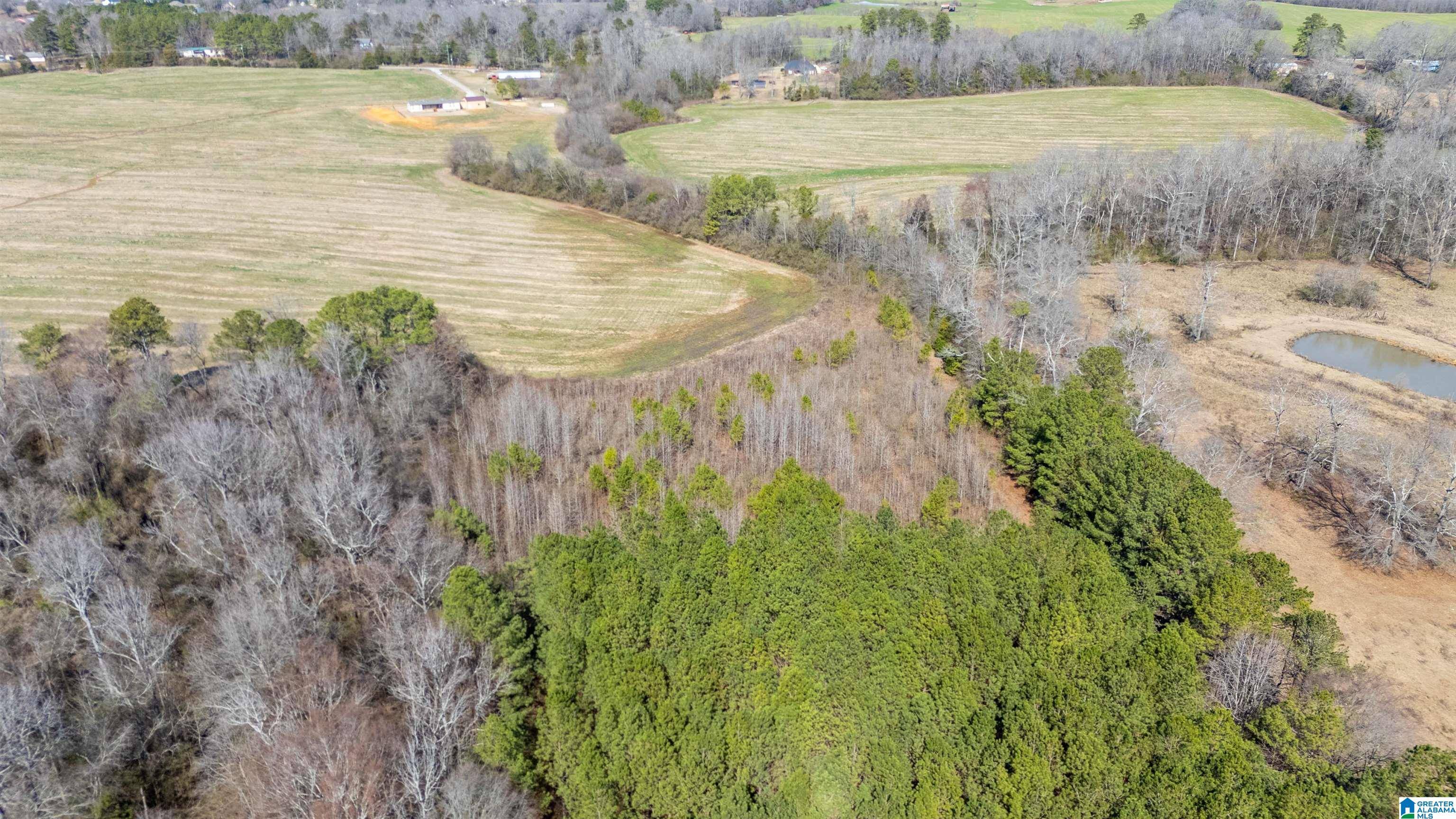 Lincoln, AL 35096,0 BROOKS LAKE ROAD #1