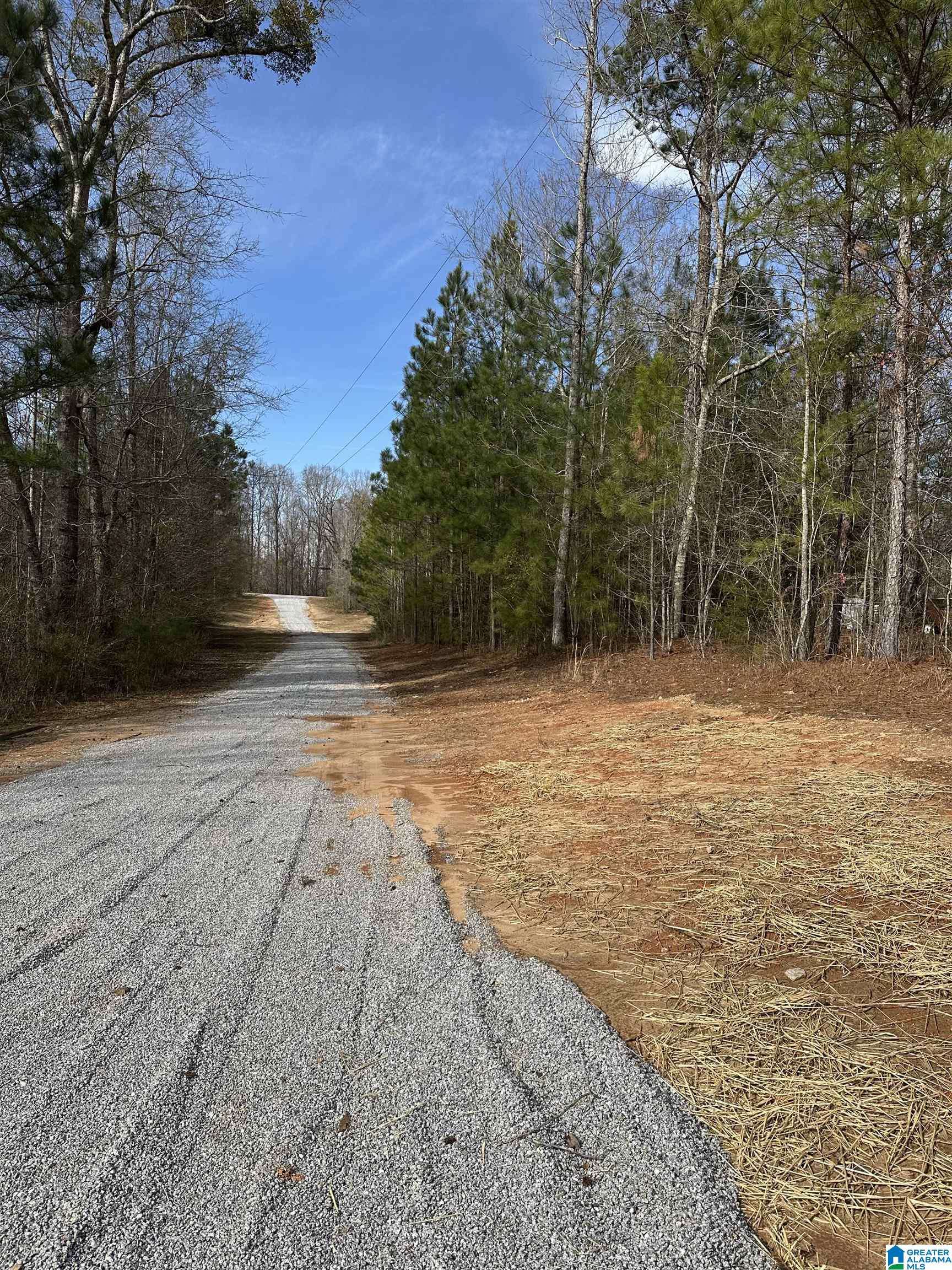 Daviston, AL 36256,6640 COUNTY ROAD 79
