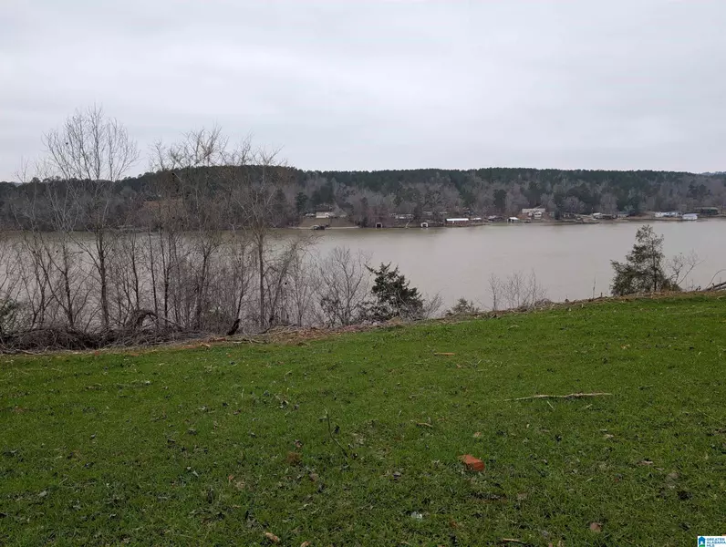 285 WARRIOR RIVER HIGHLANDS ROAD #1, Adger, AL 35006