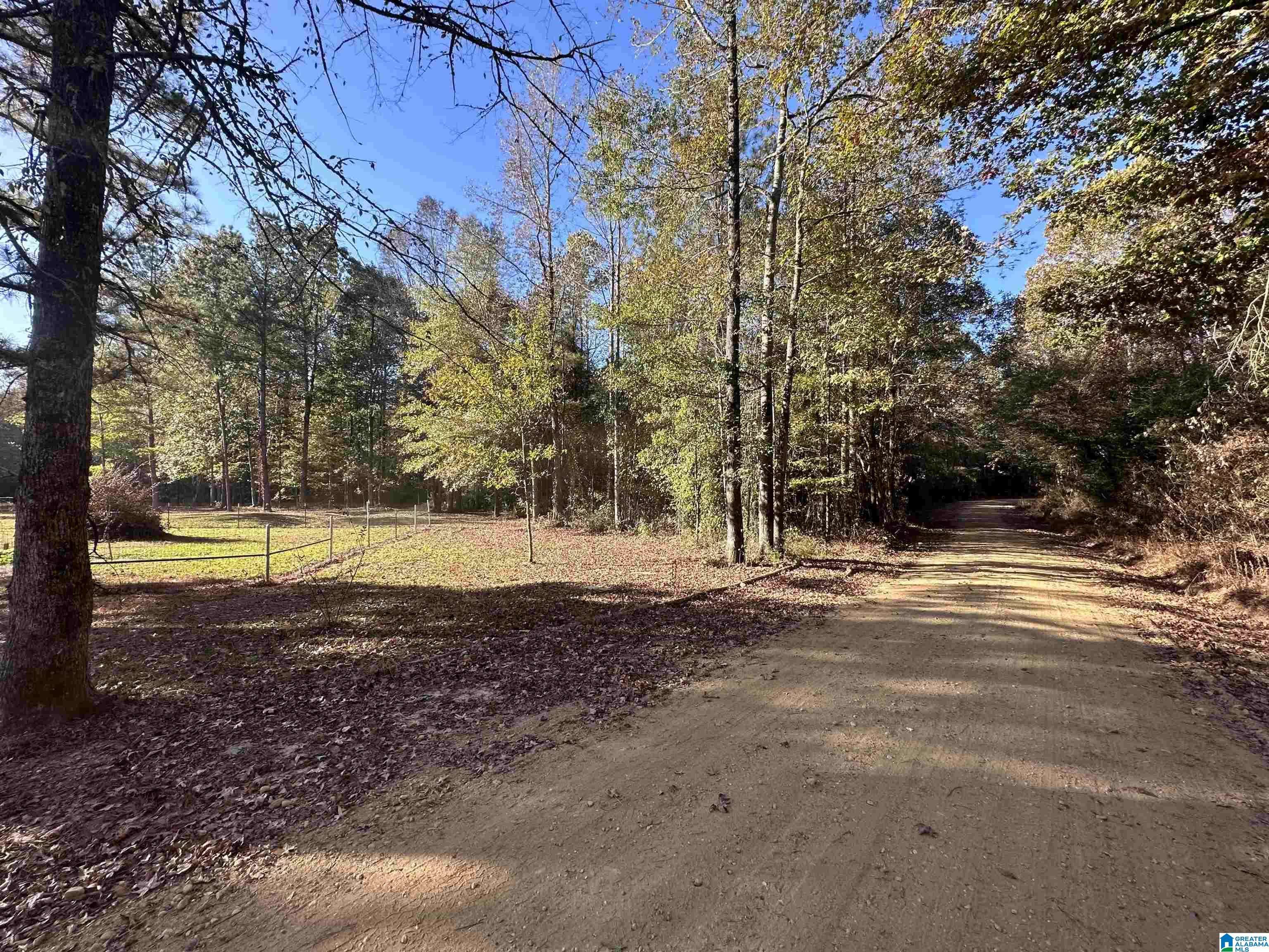 Clanton, AL 35046,3 COUNTY ROAD 176 #5484
