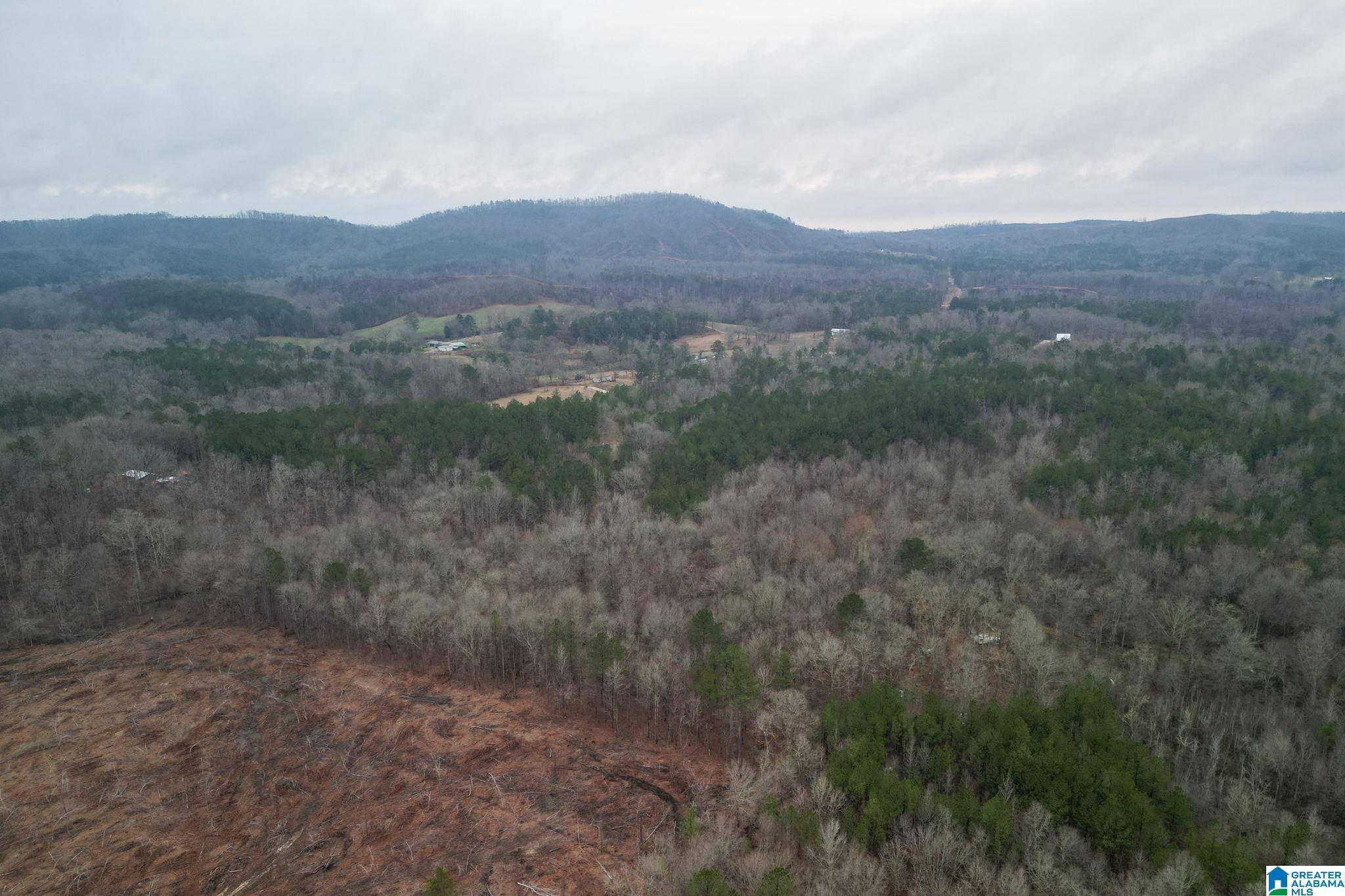 0 HIGHWAY 49 #0, Lineville, AL 36266