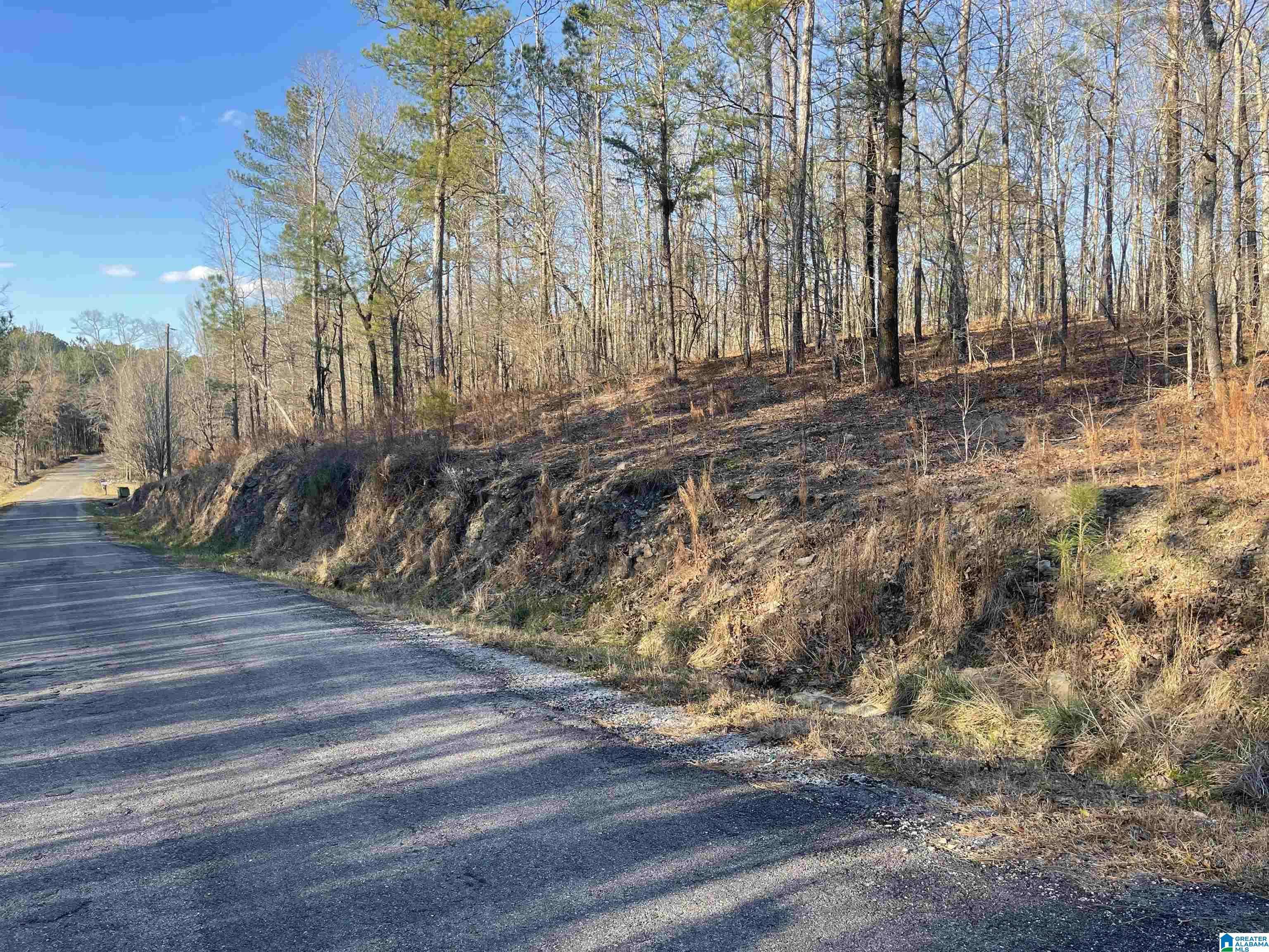 0 COUNTY ROAD 195 #None, Clanton, AL 35045