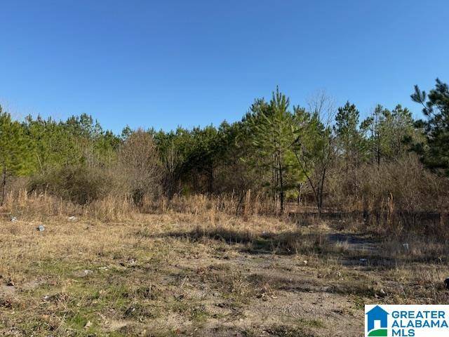 Bessemer, AL 35022,0 HOPEWELL ROAD #1