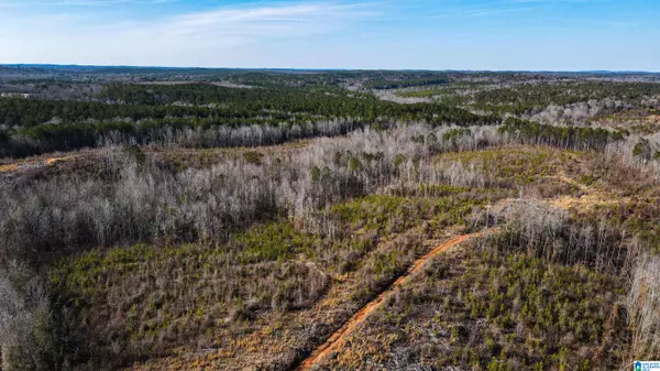 Bankston, AL 35542,1 COUNTY ROAD 26 #1