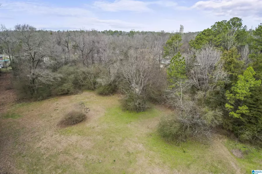 0 MILSTEAD DRIVE #1, Calera, AL 35040