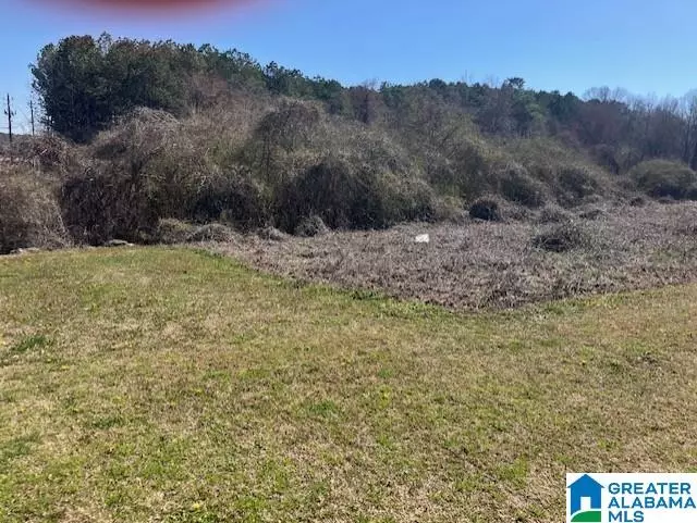 Bessemer, AL 35023,6830 WARRIOR RIVER ROAD #1