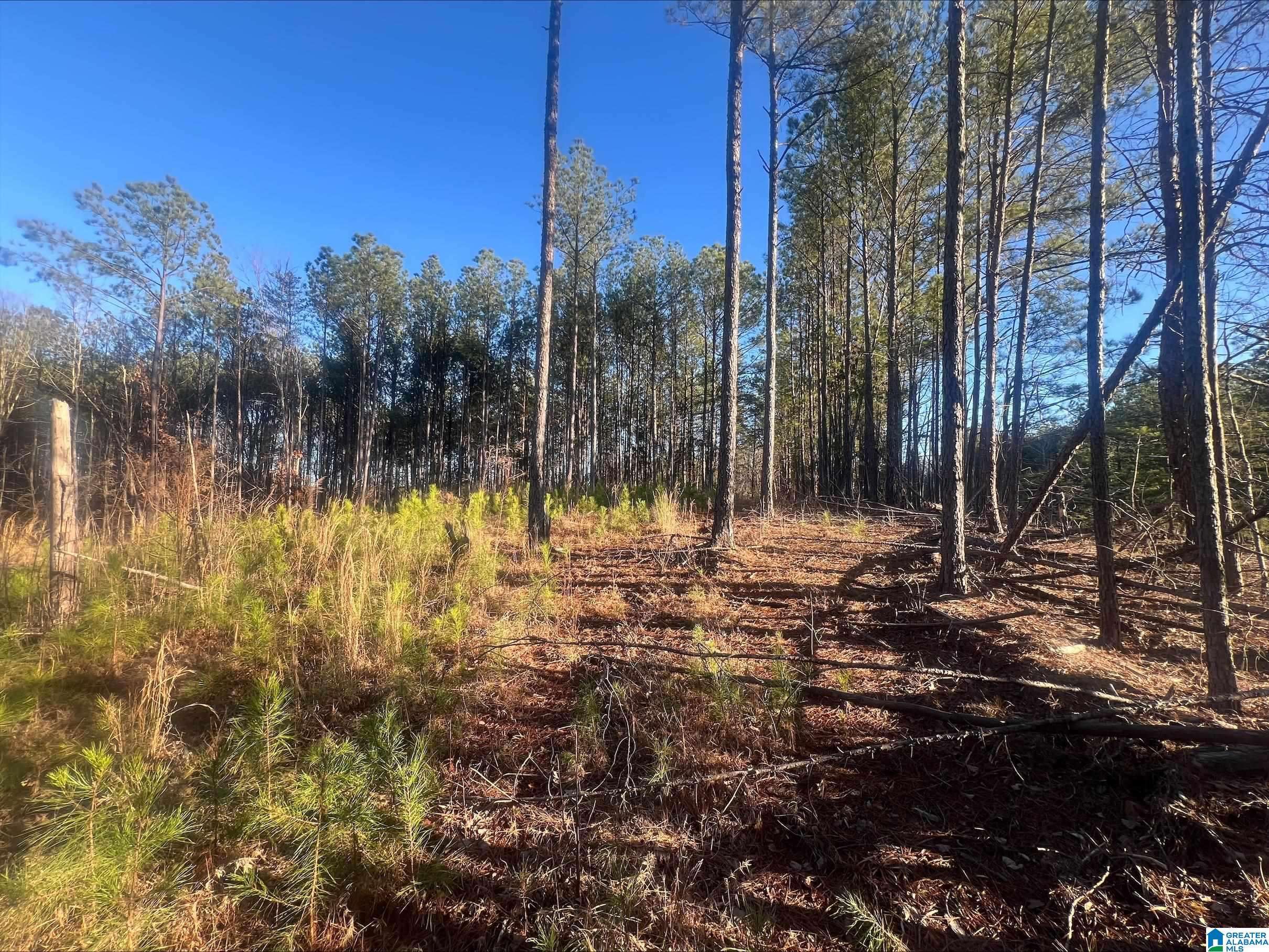 Lot 2 CRISSTOWN ROAD #Lot 2, Mccalla, AL 35111