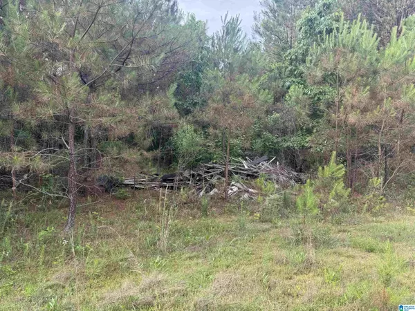 Guin, AL 35563,0 US HIGHWAY 43 #1