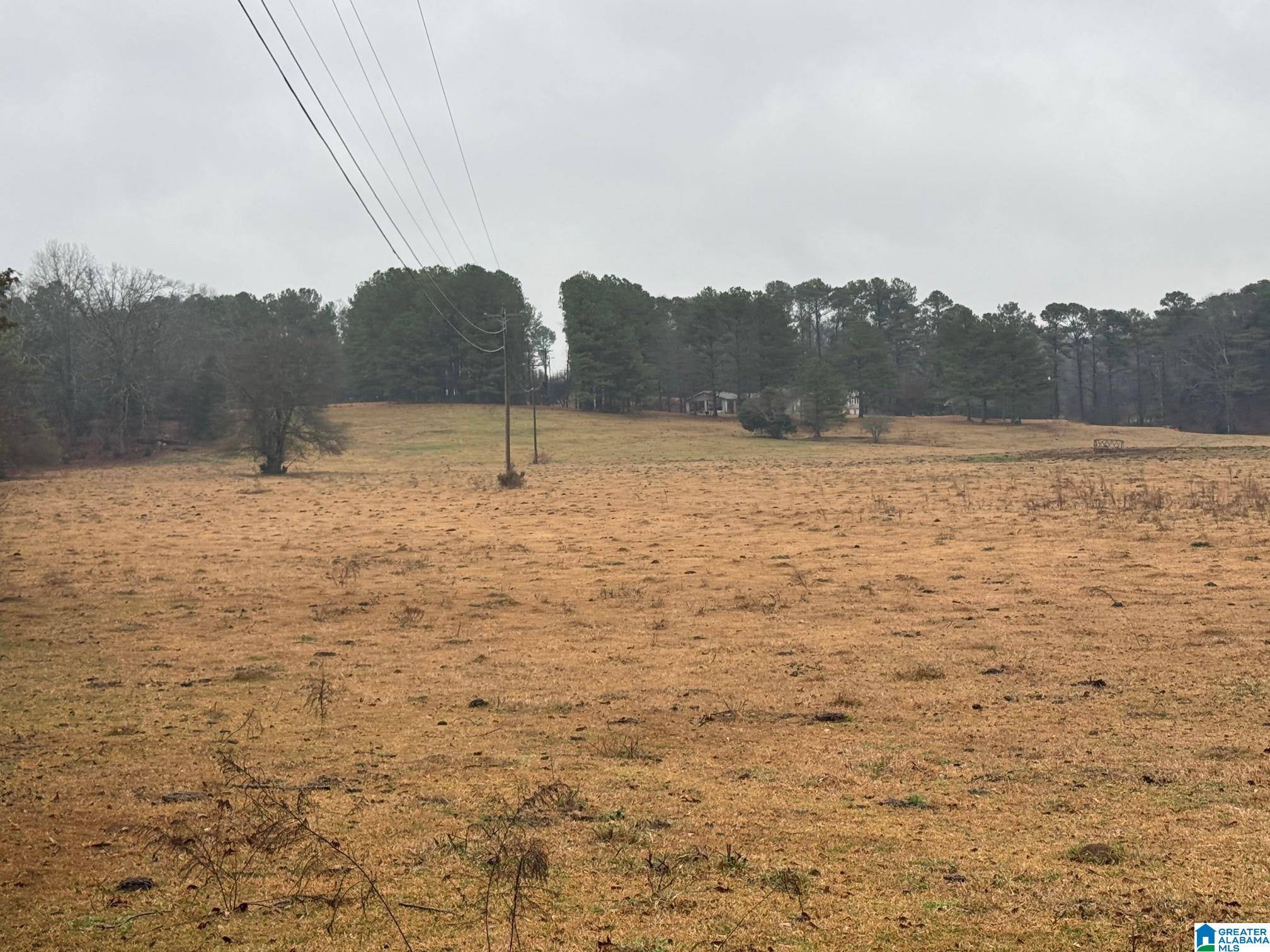 0 LOGAN MARTIN DAM ROAD #0, Cropwell, AL 35054
