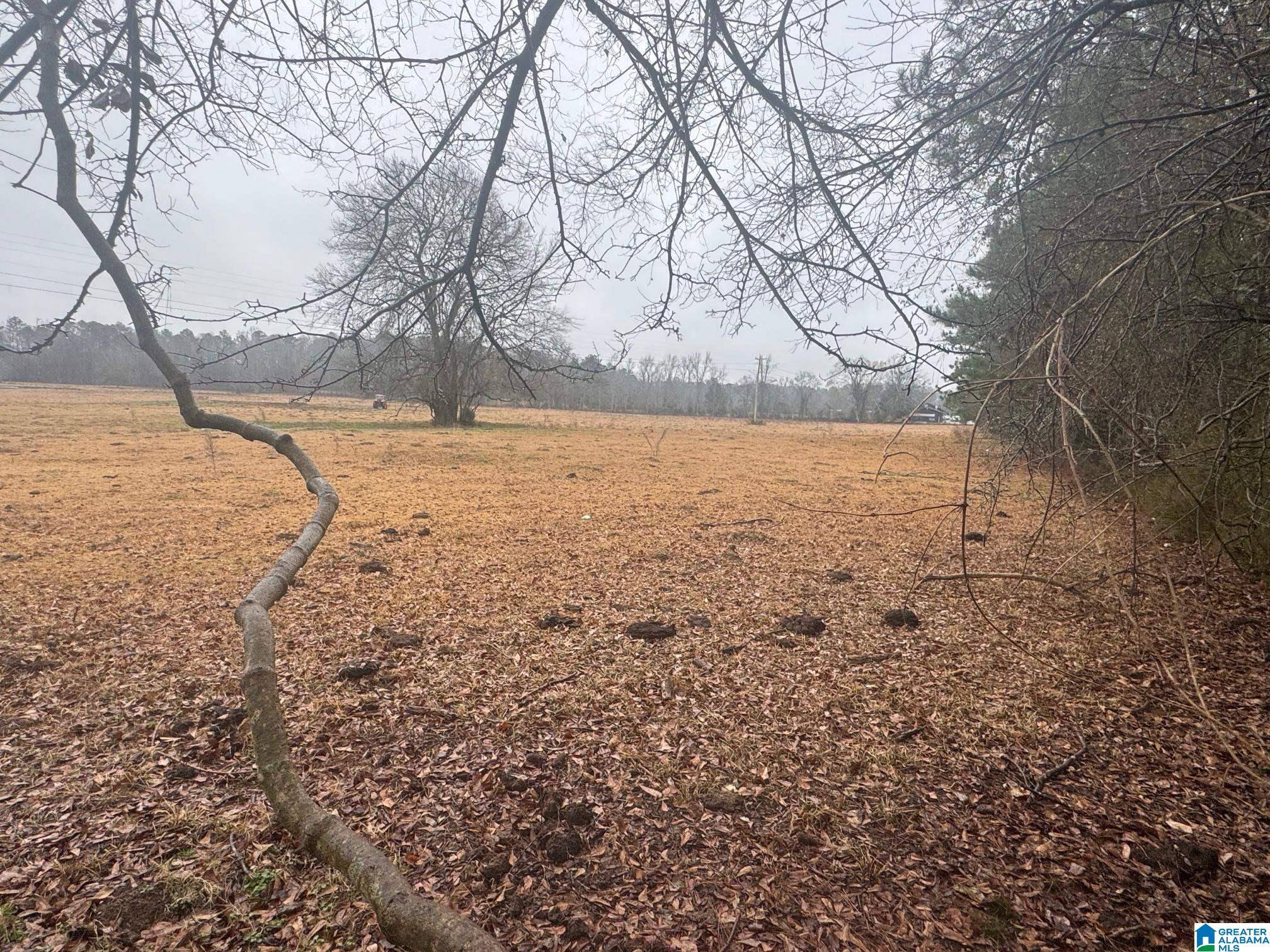 Cropwell, AL 35054,0 LOGAN MARTIN DAM ROAD #0