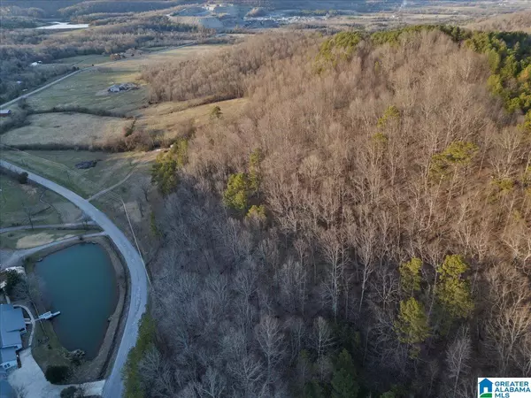 Blountsville, AL 35031,00 ROCKY HOLLOW ROAD #3.00