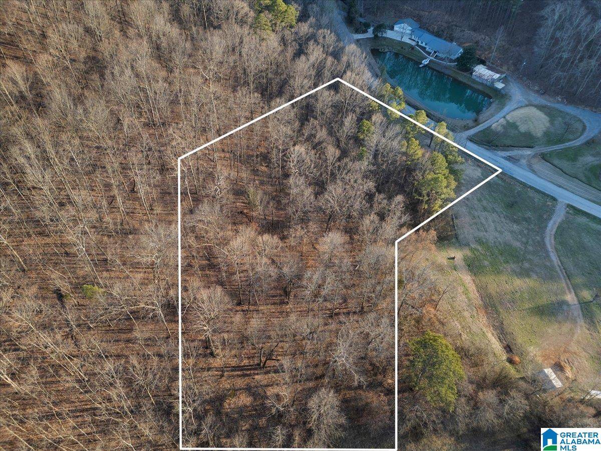 00 ROCKY HOLLOW ROAD #3.00, Blountsville, AL 35031