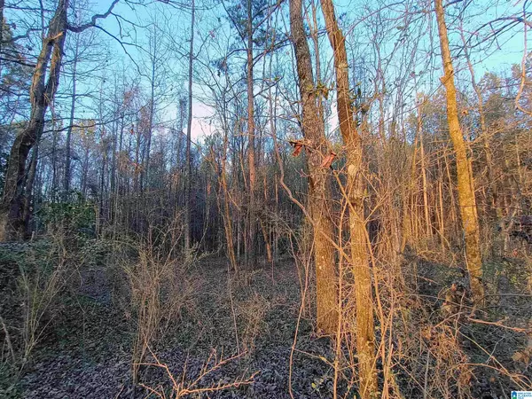 Sylacauga, AL 35150,00 ZUBERS ROAD #0