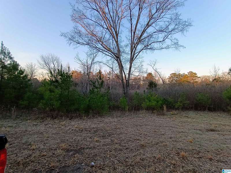 00 COMERDALE ROAD #00, Sylacauga, AL 35150