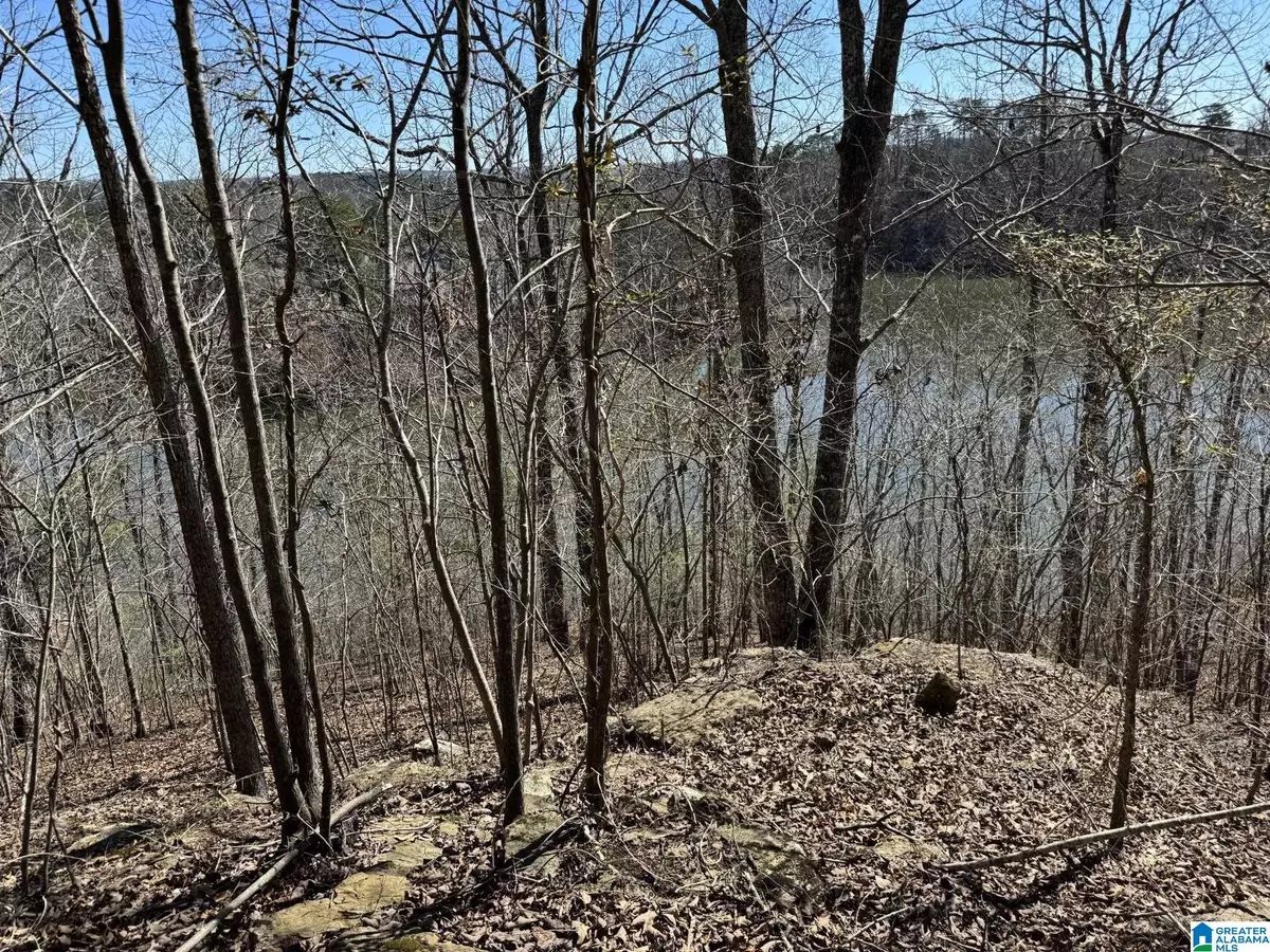 Oneonta, AL 35121,W LAKESHORE DRIVE #4