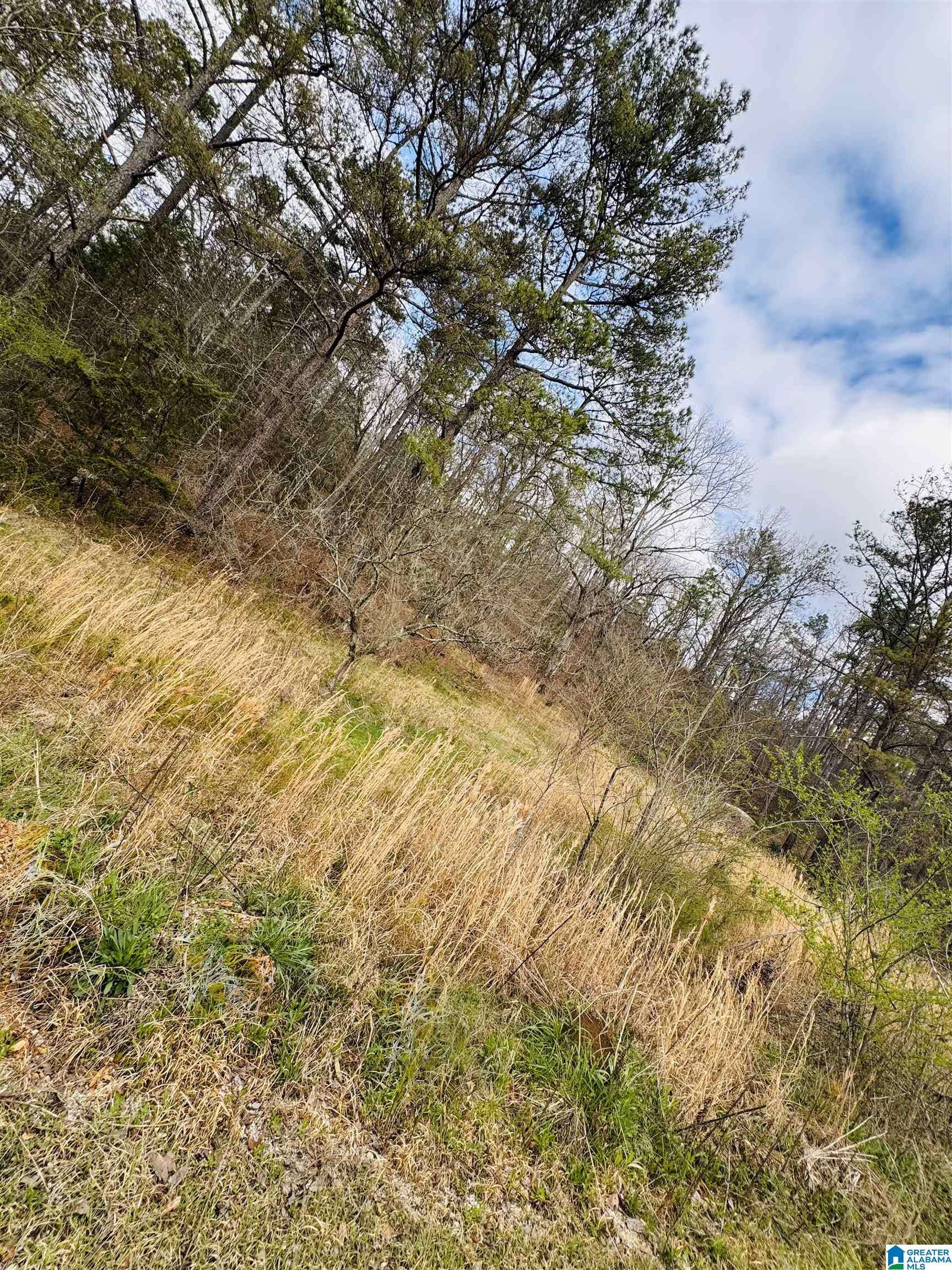 Chelsea, AL 35043,10 MOUNTAIN CREST ROAD #1
