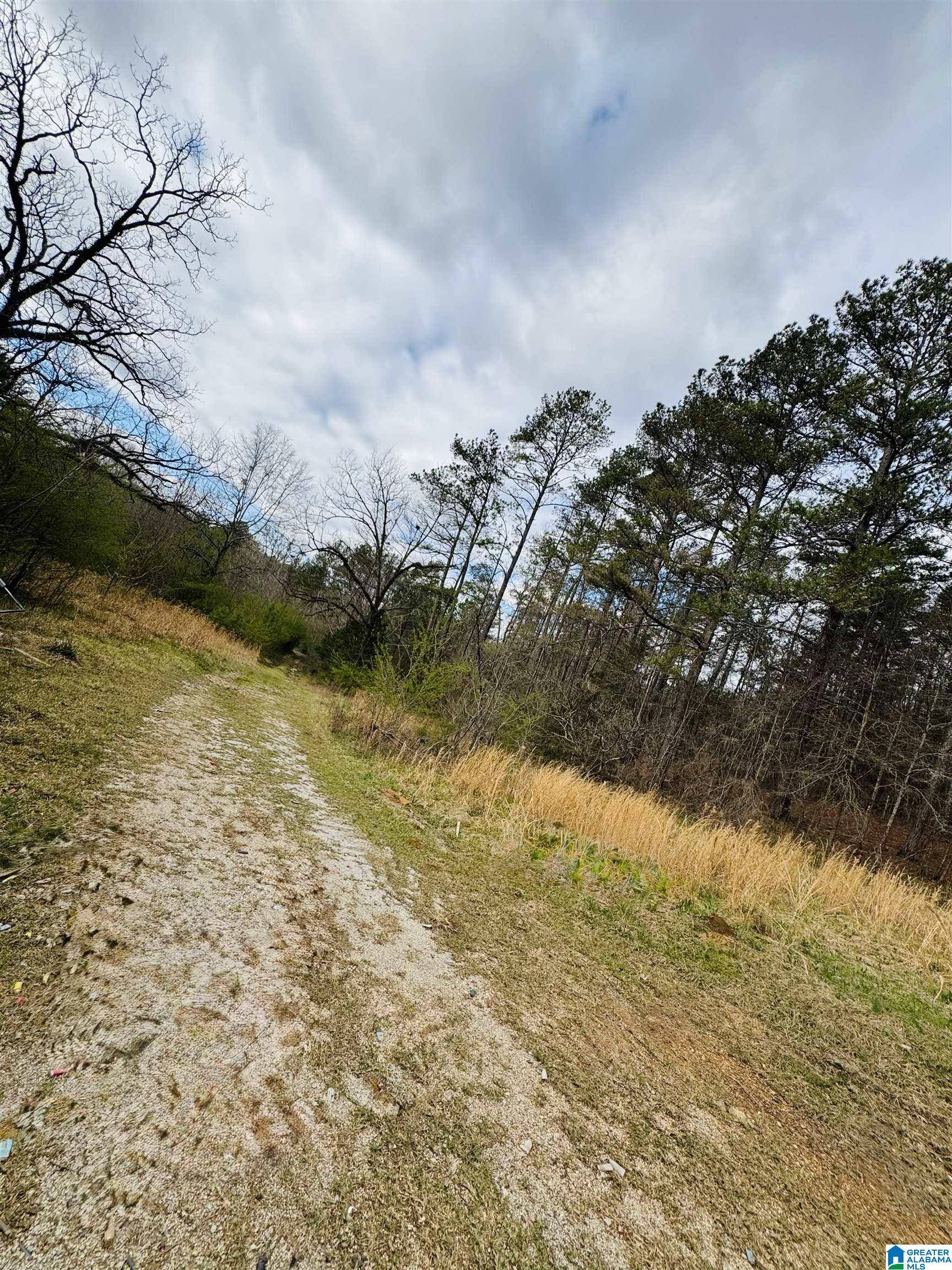 Chelsea, AL 35043,10 MOUNTAIN CREST ROAD #1